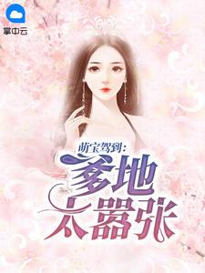 萌宝驾到:爹地太嚣张